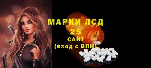 ешки Новодвинск
