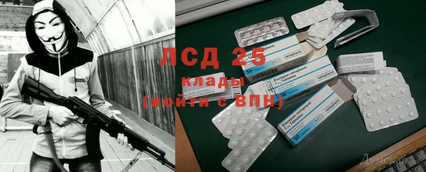 сатива Беслан