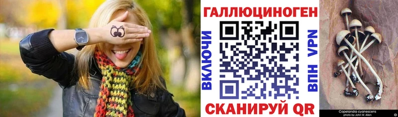 Галлюциногенные грибы мицелий  купить наркоту  Калязин 